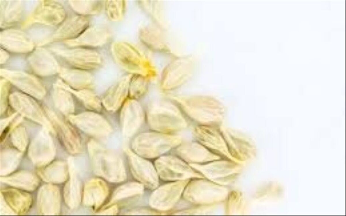 تهیه پروتئین از ضایعات هسته پرتقال