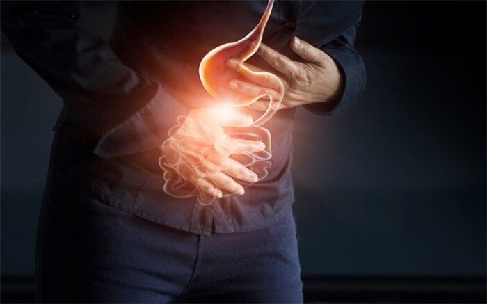 تاثیر میکروب‌های طبیعی روده در پیشگیری ابتلا به بیماری‌های مغزی