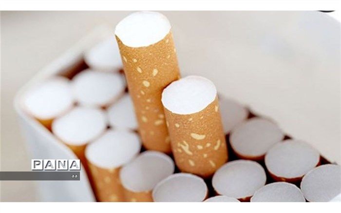 عوارض دخانیات باعث اُفت نیروی کار سالم در جامعه می شود