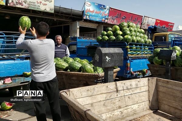 آغاز فصل گرما و رونق فروش هندوانه