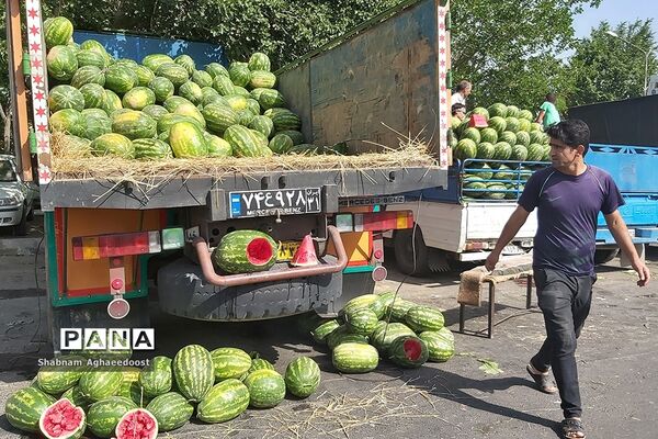 آغاز فصل گرما و رونق فروش هندوانه