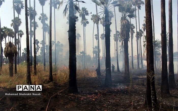 آتش سوزی گسترده در پارک حجاب اهواز