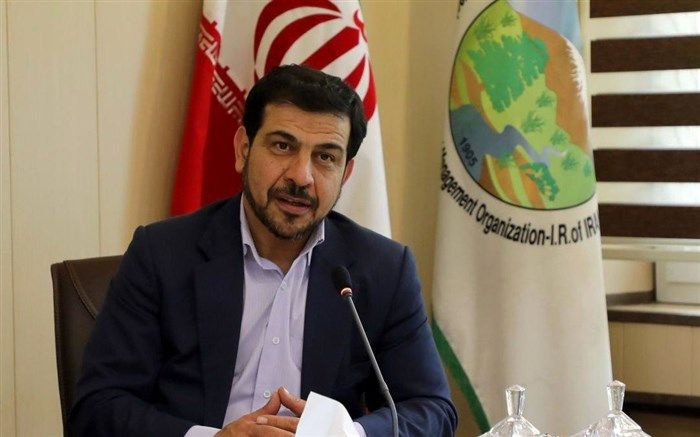 رئیس سازمان جنگل‌های کشور؛  ۸۰ درصد آتش سوزی‌ها بصورت سهوی اتفاق می افتد