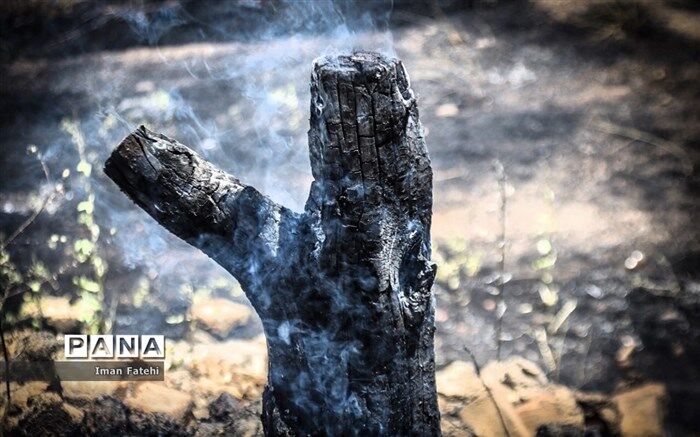 آتش‌سوزی در جنگل‌های ایران ادامه پیدا خواهد کرد؟