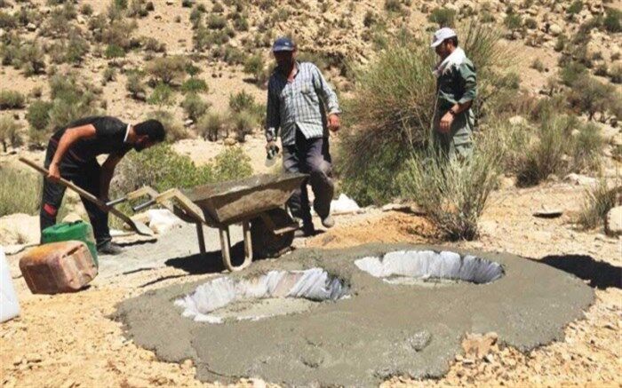 اینجا حشرات هم تشنه نمی‌مانند
