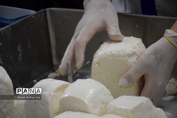 بازدید سازمان جهاد کشاورزى از نگهدارى و تولید پنیر لیقوان