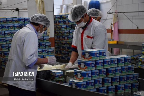 بازدید سازمان جهاد کشاورزى از نگهدارى و تولید پنیر لیقوان