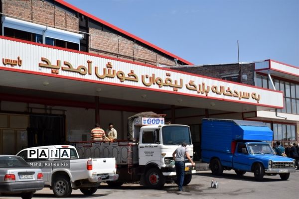 بازدید سازمان جهاد کشاورزى از نگهدارى و تولید پنیر لیقوان