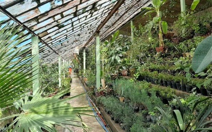 توسعه و بهره‌برداری از ۴۶۰۰ هکتار گلخانه در سال جهش تولید