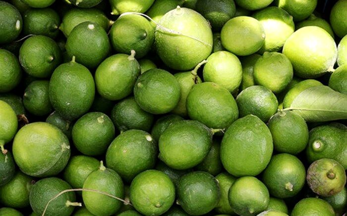 صادرات لیموشیرین، لیموترش و کش قیطانی تولید ماسک ممنوع شد