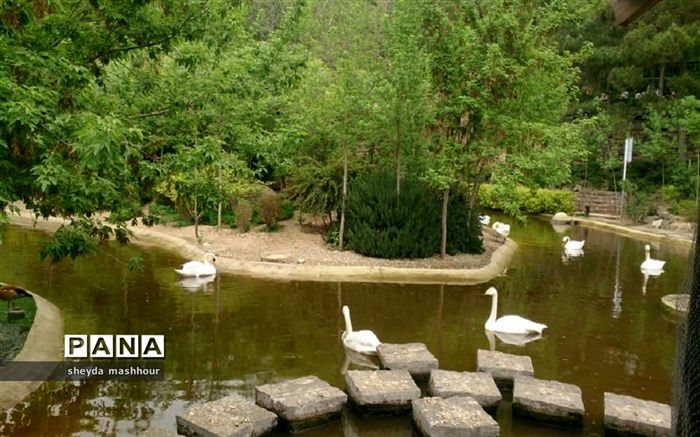 تداوم تعطیلی باغ پرندگان تا اطلاع ثانوی