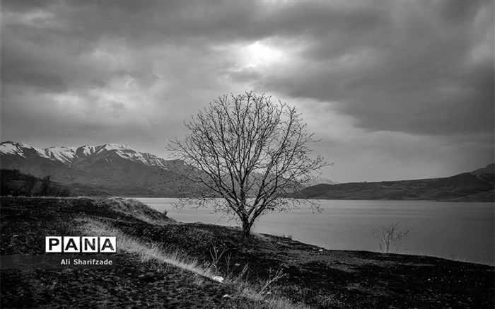 بارش شدید باران در طالقان سبب تخریب بخشی از پل قدیمی این شهر شد