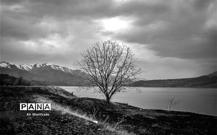 بارش شدید باران در طالقان سبب تخریب بخشی از پل قدیمی این شهر شد