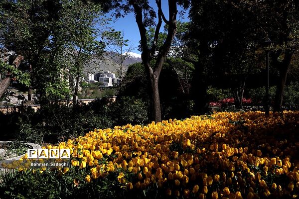 باغ ایرانی، بهشتی برای پایتخت نشینان