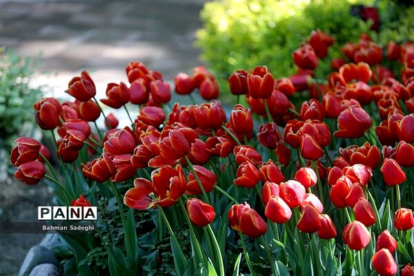 باغ ایرانی، بهشتی برای پایتخت نشینان