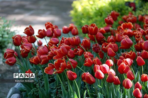 باغ ایرانی، بهشتی برای پایتخت نشینان