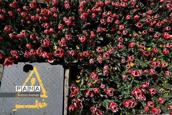 باغ ایرانی، بهشتی برای پایتخت نشینان