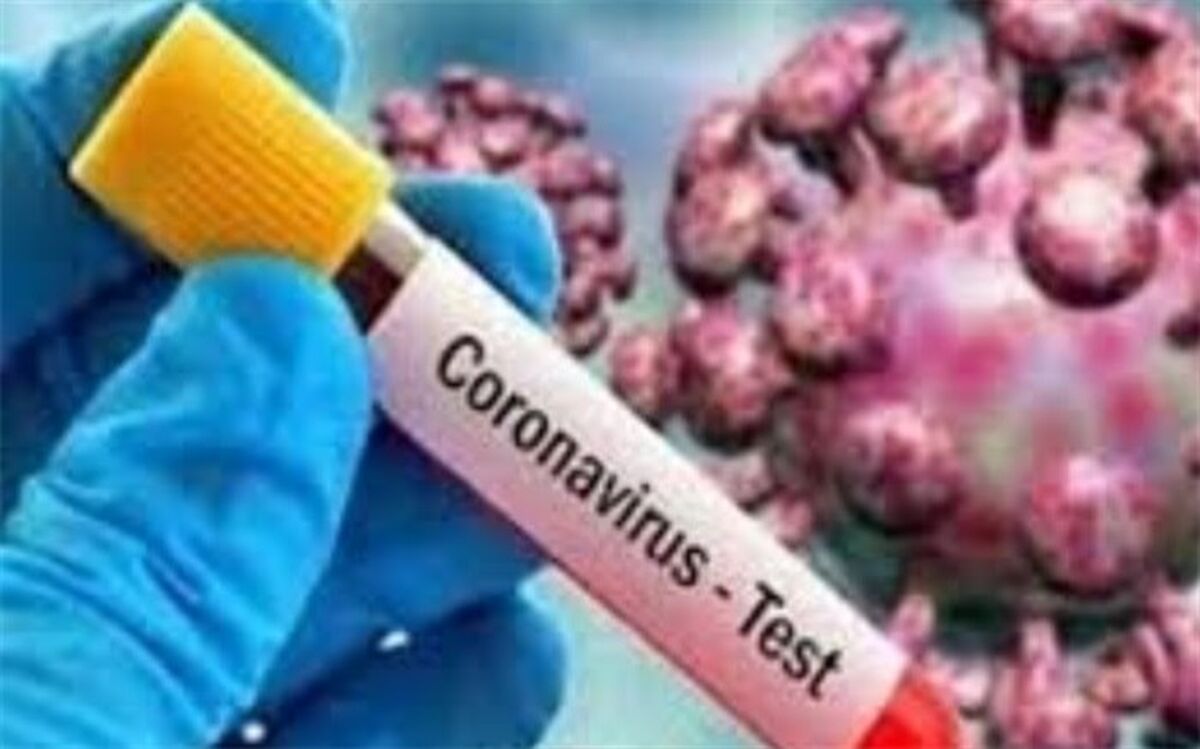 افزایش آمار فوتی‌های کرونا در فارس به ۸۲ نفر +فیلم