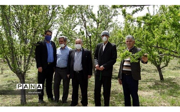 خیر فرهنگی شیروانی یک قطعه باغ سر درختی به آموزش و پرورش شیروان اهدا کرد