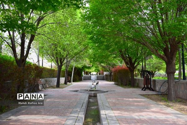 جلوه زیباى بهار در تبریز