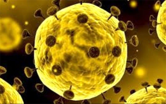 آیا کووید-۱۹ در تابستان فروکش خواهد کرد؟