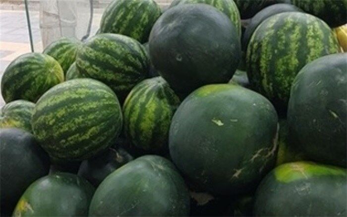 هندوانه های تریاکی به پایتخت نرسیدند