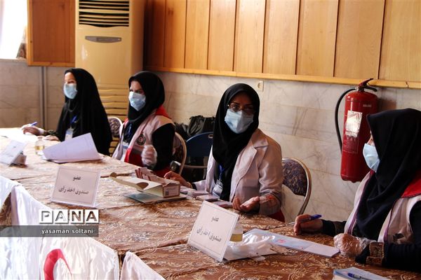 انتخابات مجامع هلال احمر