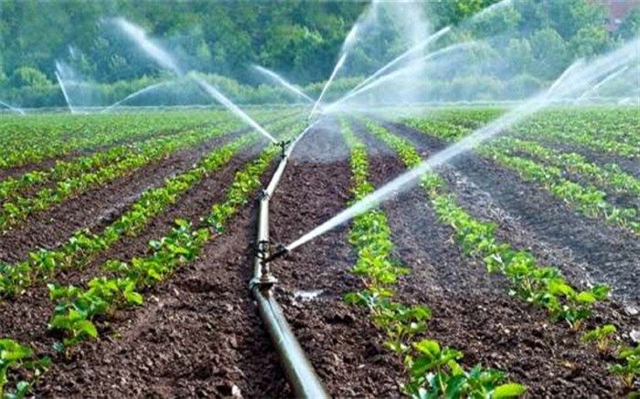کشاورزی بر خلاف تصور عموم فقط ۴۰ درصد منابع آب را مصرف می‌کند