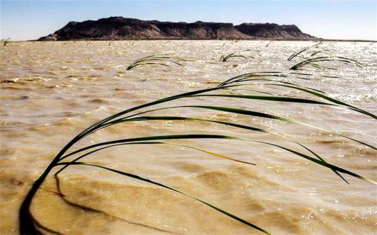 جهش تولید، حفظ محیط زیست برای توسعه پایدار ایران