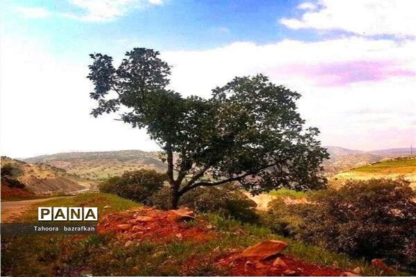 فراخوان عکاسی مردم و محیط زیست، ویژه دانش آموزان شهرستان امیدیه