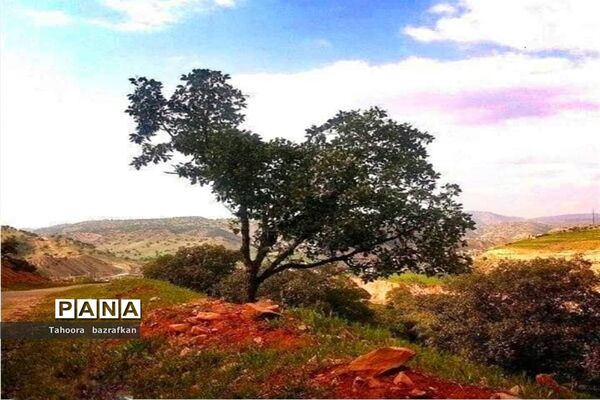 فراخوان عکاسی مردم و محیط زیست، ویژه دانش آموزان شهرستان امیدیه