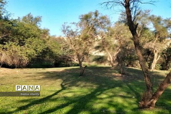 فراخوان عکاسی مردم و محیط زیست، ویژه دانش آموزان شهرستان امیدیه