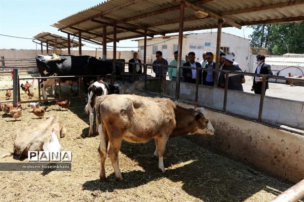 بازدید مدیرکل آموزش و پرورش قزوین از هنرستان کشاورزی فدک