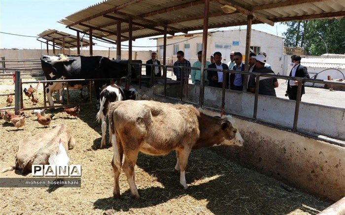 هنرستان کشاورزی فدک به الگویی در زمینه تولید و کشاورزی تبدیل شود