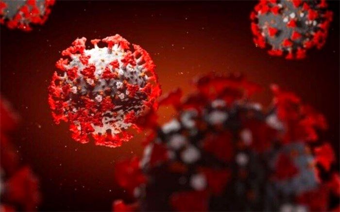 چرا کرونا با گرم شدن هوا از بین نرفت؟