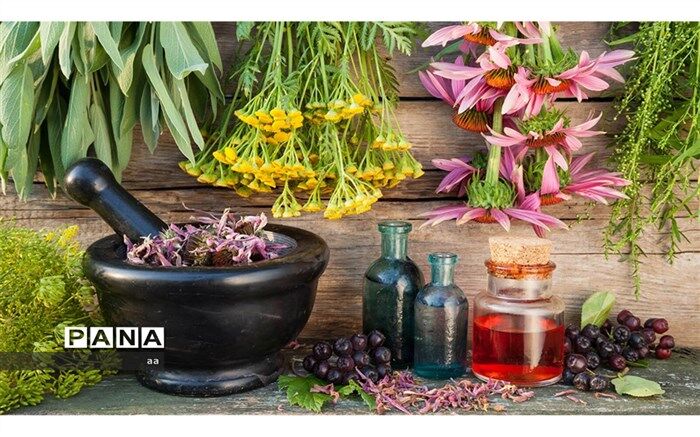 طرح جامع گیاهان دارویی لرستان تهیه شد