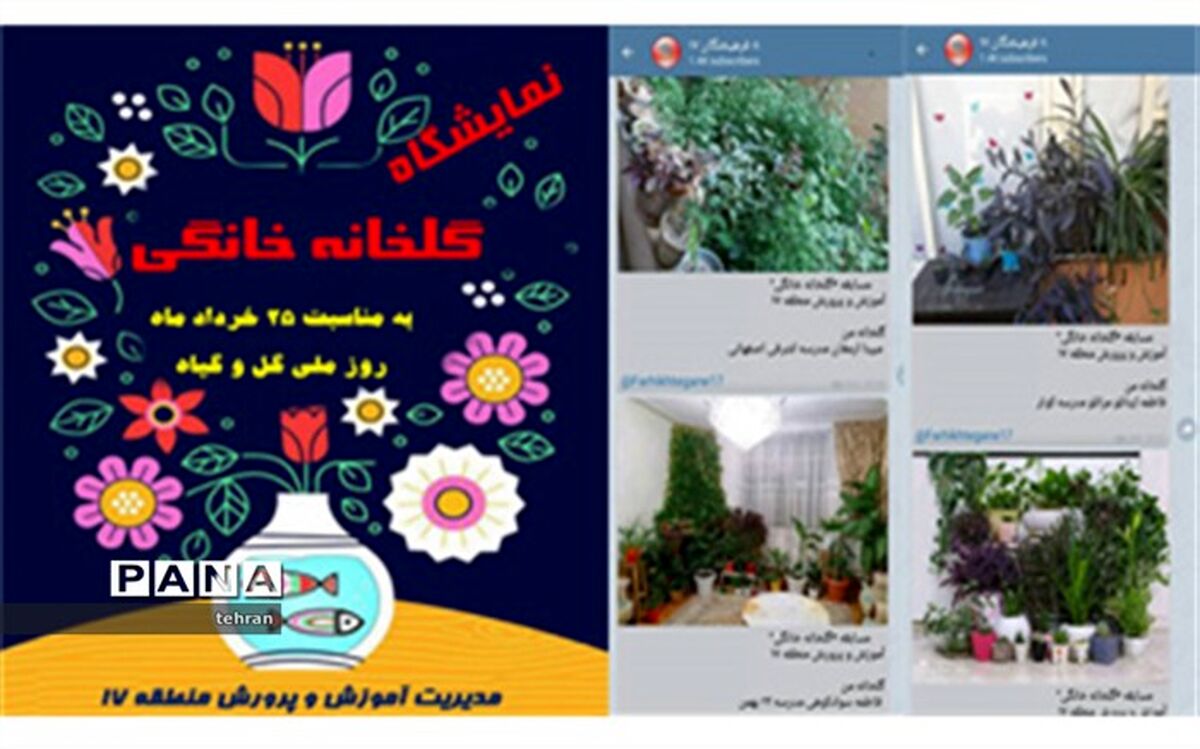 برگزاری مسابقه مجازی عکس گلخانه خانگی در منطقه17