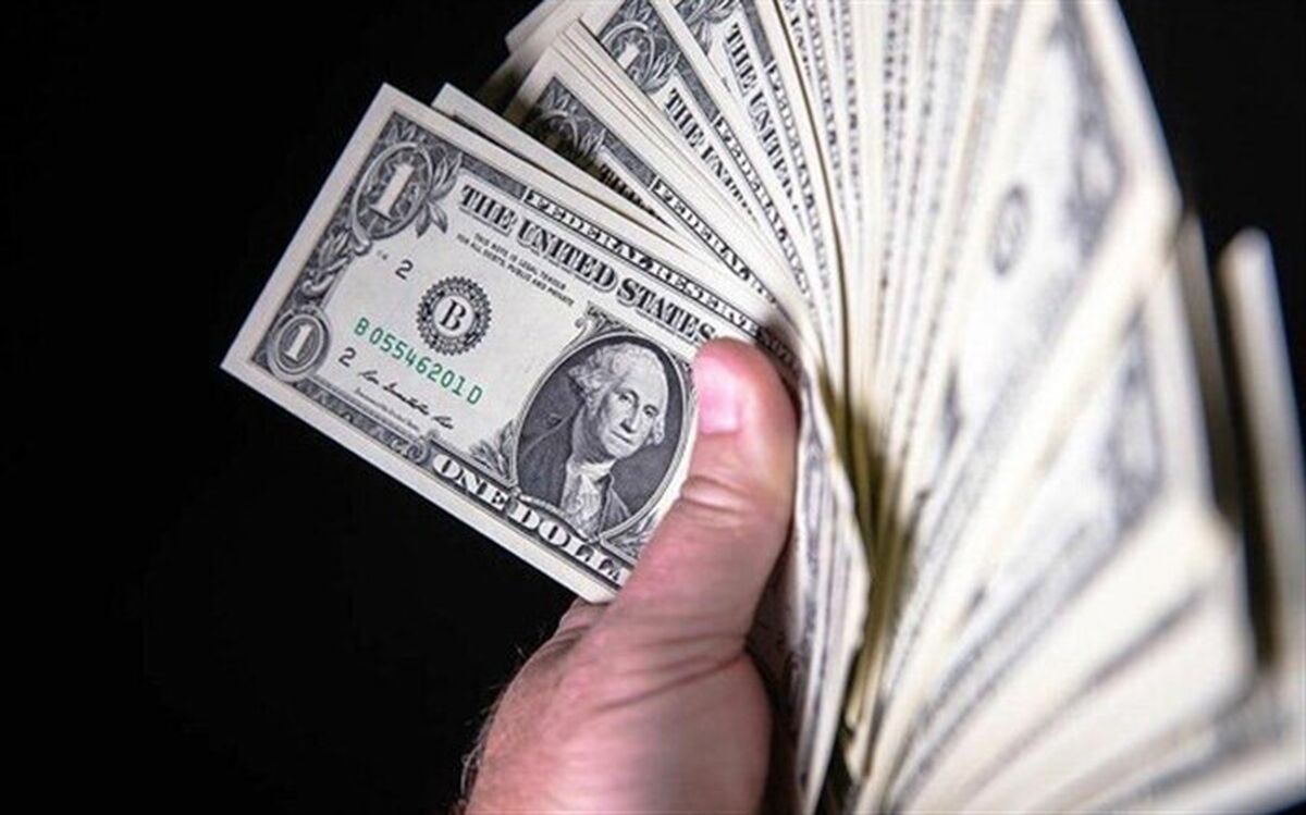 دولت اگر بخواهد می‌تواند قیمت ارز را کنترل کند