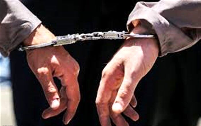 عاملان فروش سلاح اینترنتی در پایتخت زمین گیر شدند