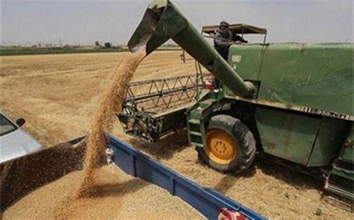 تحویل گندمهای عاری از آفات نباتی، آلودگی و ناخالصی، به دولت مشمول جایزه پاکی خواهد بود