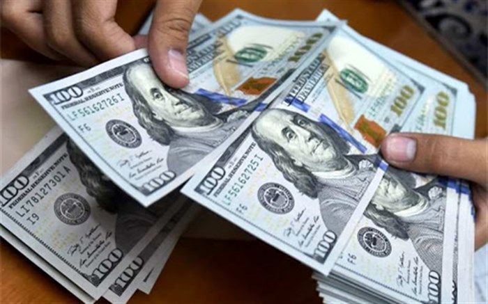 صالحی :کنترل بازار ارز با انجام وظایف نظارتی دولت و بانک مرکزی ممکن است