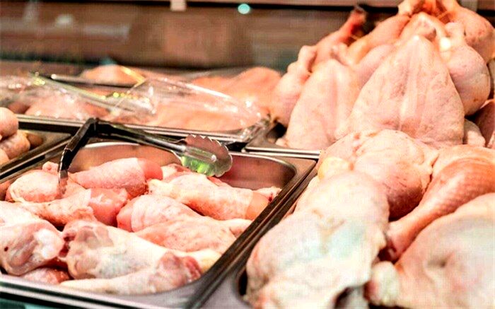 تعدیل تولید سبب افزایش قیمت گوشت مرغ شد