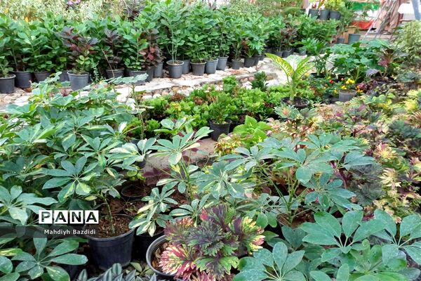 نمایشگاه دائمی توانمندی‌های بانوان مود