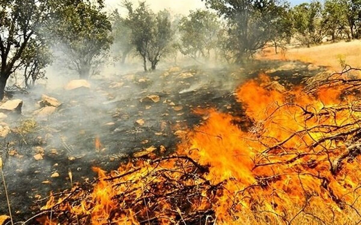 مهار آتش‌سوزی در  سفیدکوه