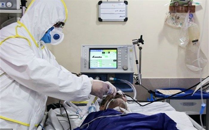 همراهان خاموش شب