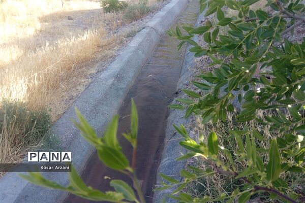 آبیاری مزارع روستا تقوک