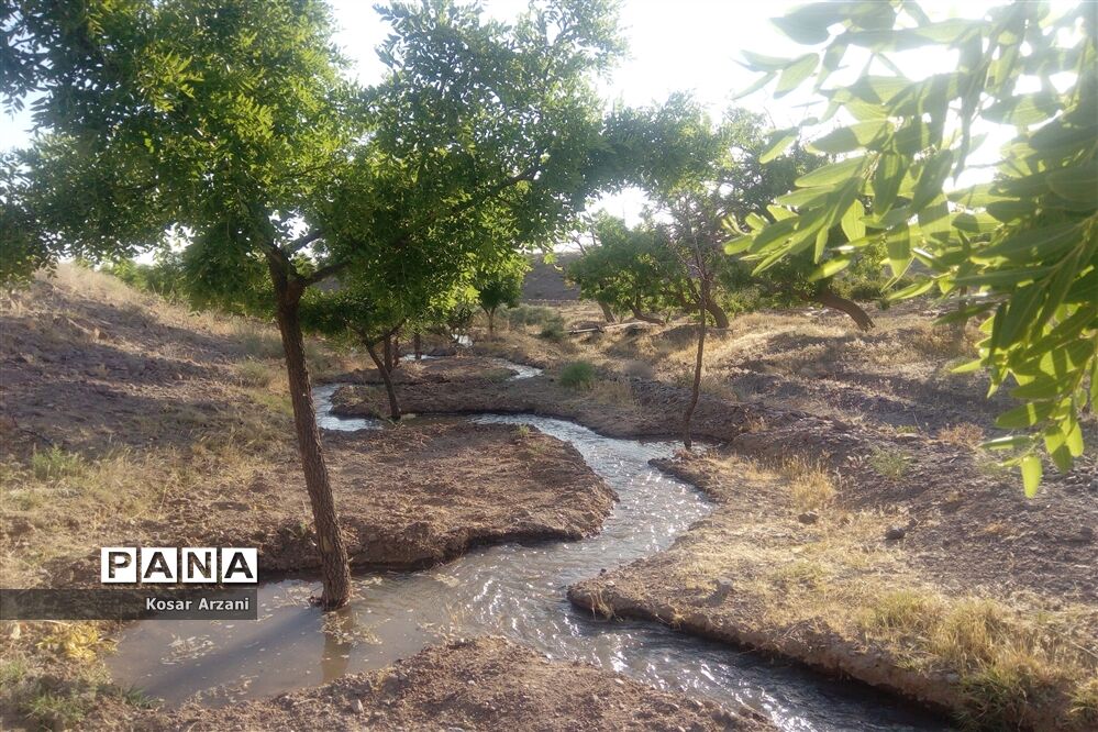 آبیاری مزارع روستا تقوک