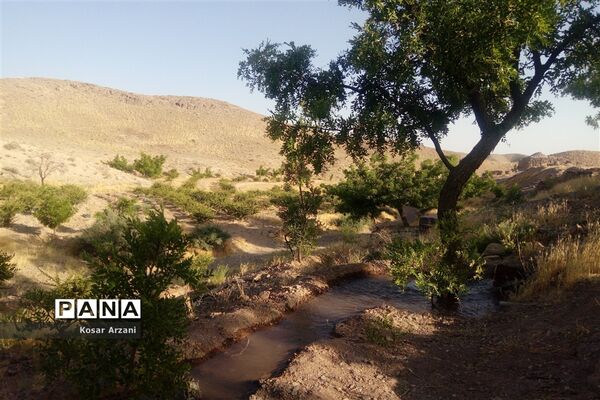 آبیاری مزارع روستا تقوک