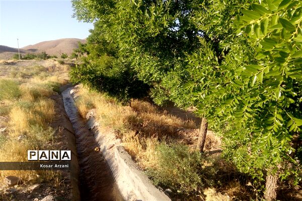 آبیاری مزارع روستا تقوک