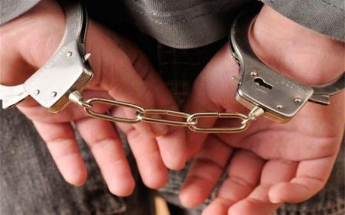 عامل اخاذی از دختر شیرازی در فضای مجازی دستگیر شد